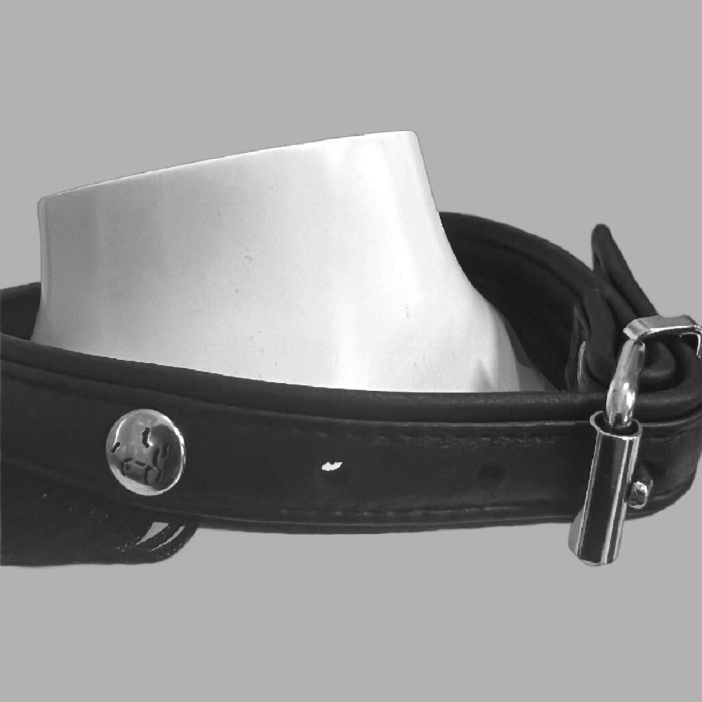 Schwarzer Reiter
