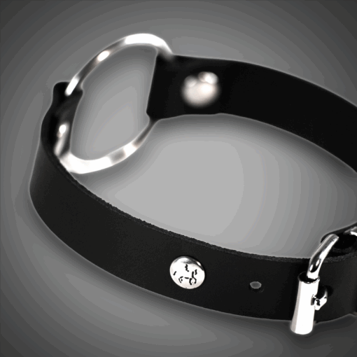 Alternative view of Echtlederhalsband 2,0 cm Basic mit 4,0 cm Ring