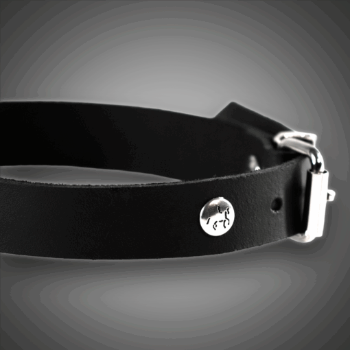 Alternative view of Echtlederhalsband BASIC 2,0 cm