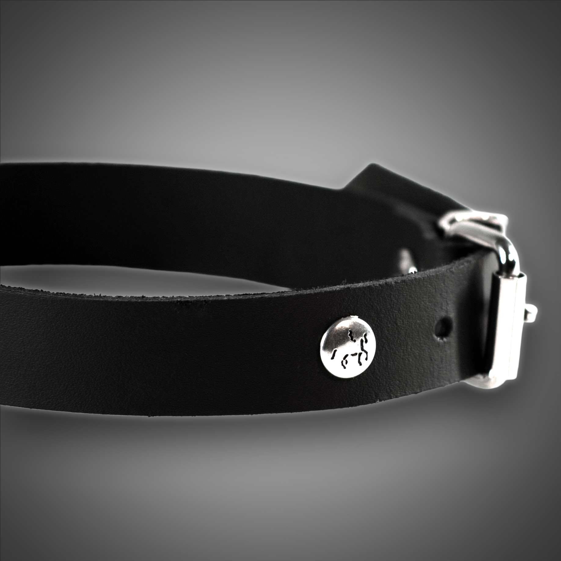 Echtlederhalsband BASIC 2,0 cm – Bild 2