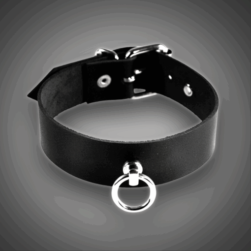 Echtlederhalsband BASIC 3,0 cm
