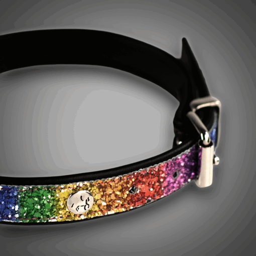 Alternative view of Echtlederhalsband Rainbow Diamond 2,0 cm