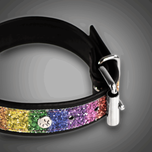 Alternative view of Echtlederhalsband Rainbow Diamond 3,0 cm