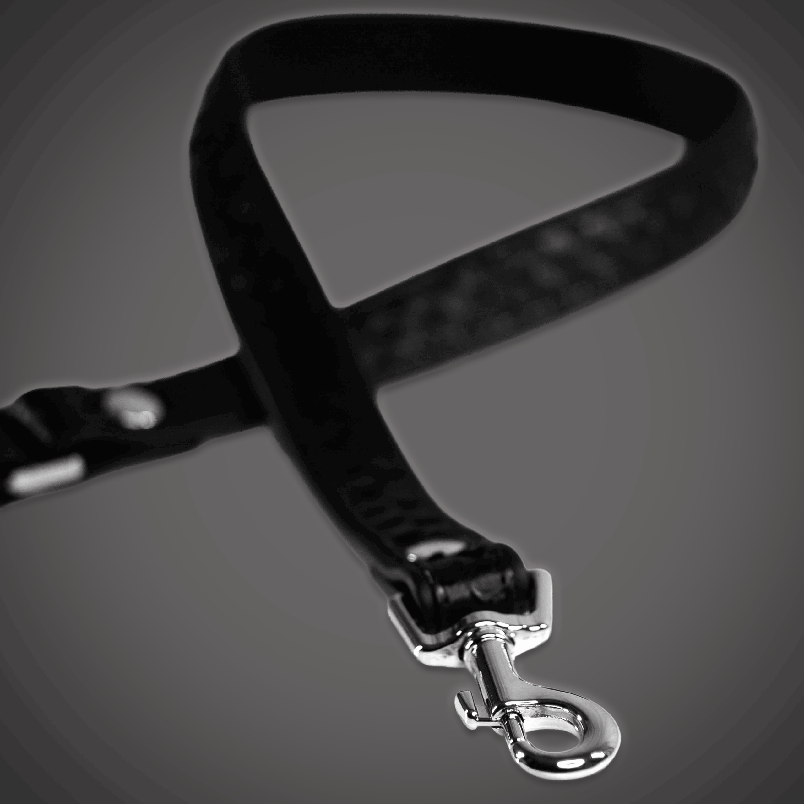 Pythonechtlederleine schwarz