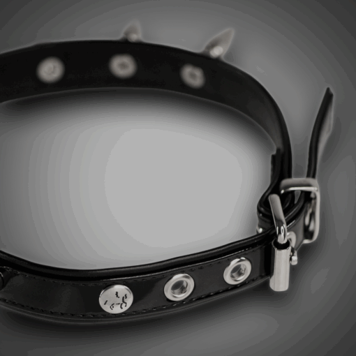 Alternative view of Kunstlederhalsband  Lack mit Spikes & O-Ring 2,0 cm