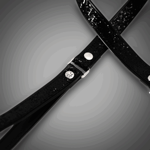 Alternative view of Echtlederleine Black Diamond