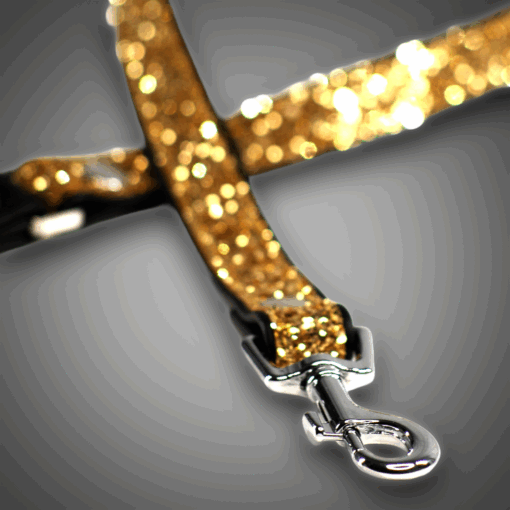 Alternative view of Echtlederleine Gold Diamond