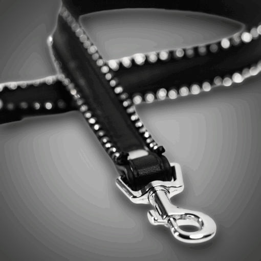 Alternative view of Echtlederleine mit Kristallen