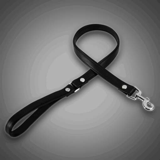 Echtlederleine schwarz