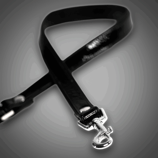 Lacklederleine schwarz