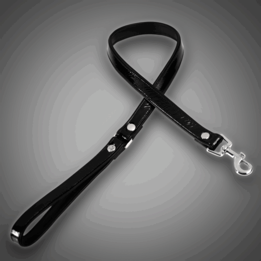 Alternative view of Lacklederleine schwarz