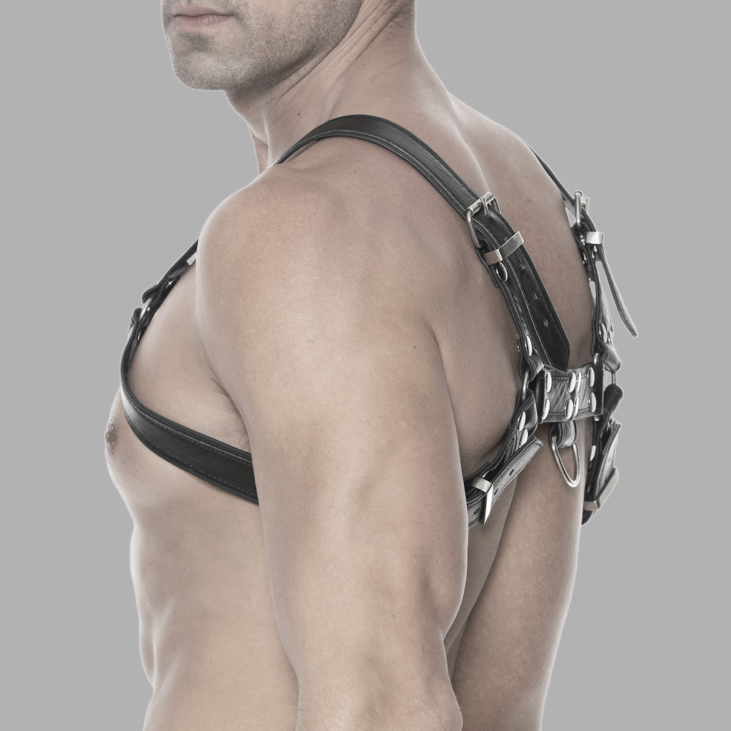 Kunstlederharness Bulldog mit Ring – Bild 2