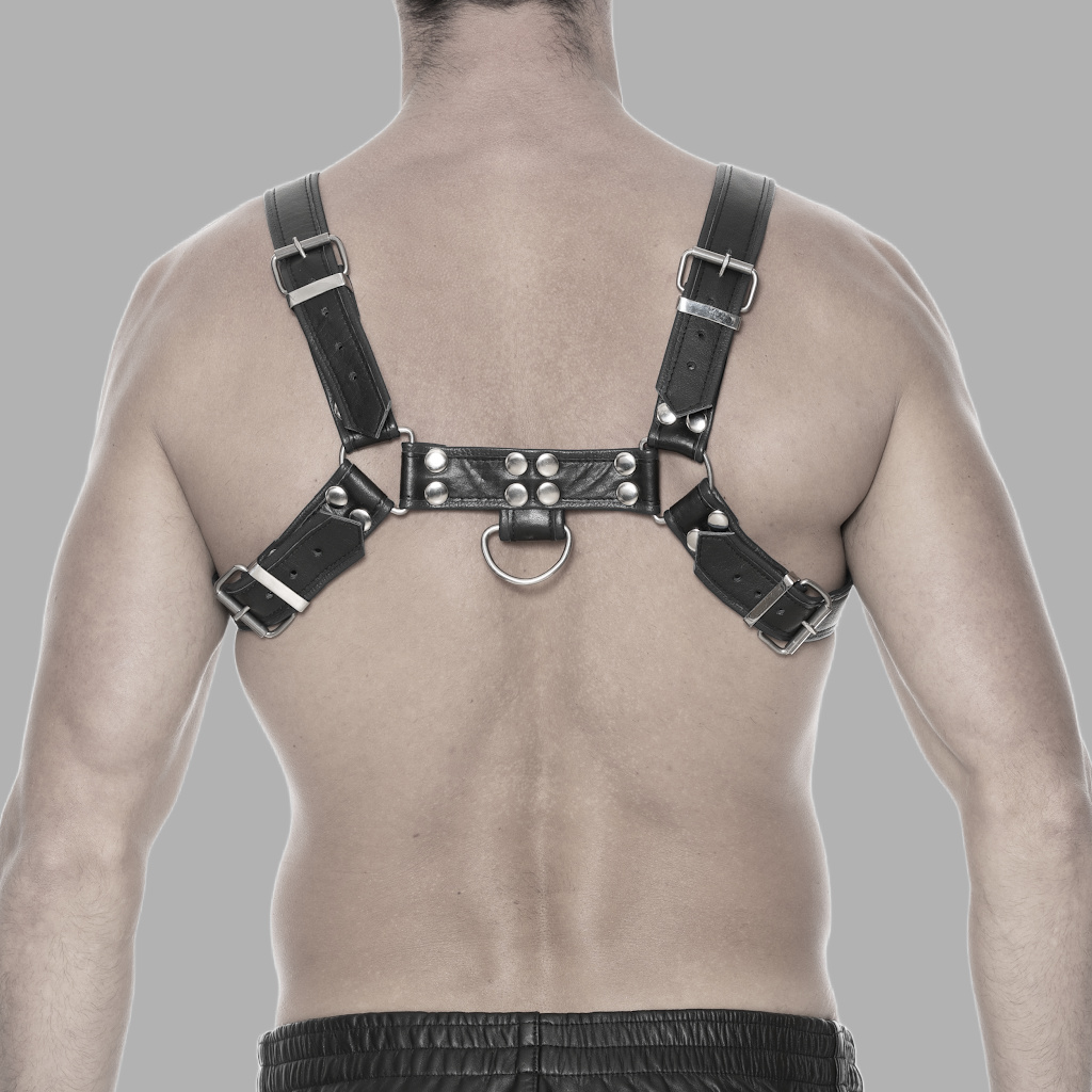 Kunstlederharness Bulldog mit Ring – Bild 3