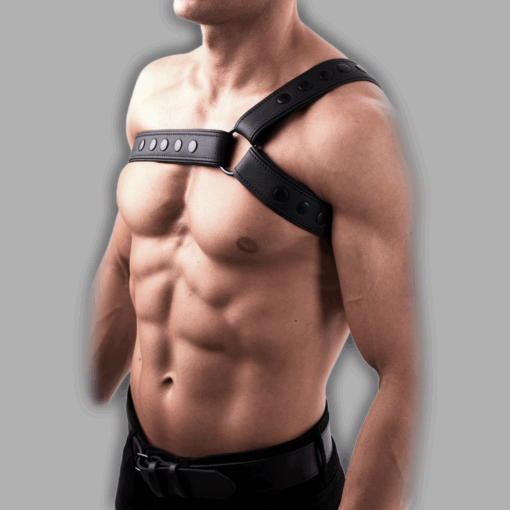 Alternative view of Harness Crossshoulder