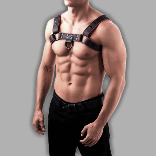 Chestharness schwarz/rot softes Leder