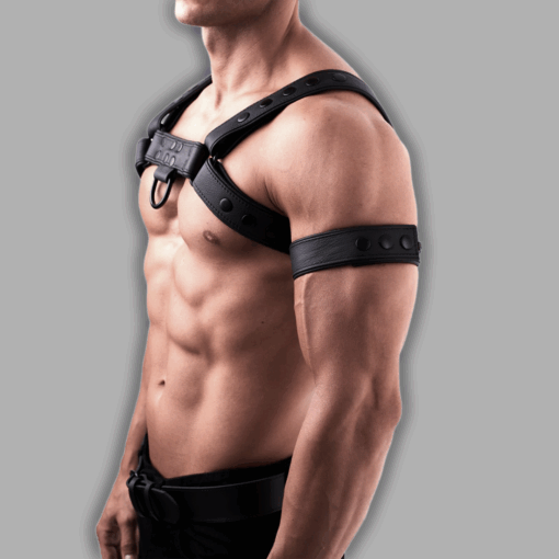 Alternative view of Chestharness schwarz softes Leder