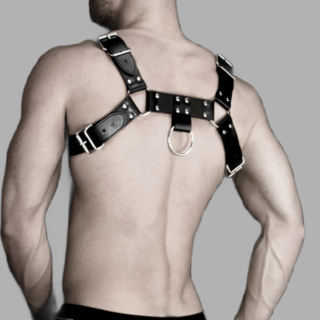 Kunstlederharness Bulldog Structure 2 Ring & Nieten – Bild 3