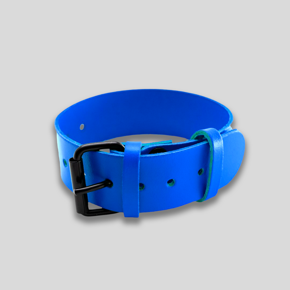 Bicepsband robustes Leder blau – Bild 3