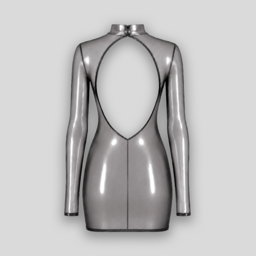 Transparentes Minikleid MOONDUST Silber – Produktansicht offener Rücken