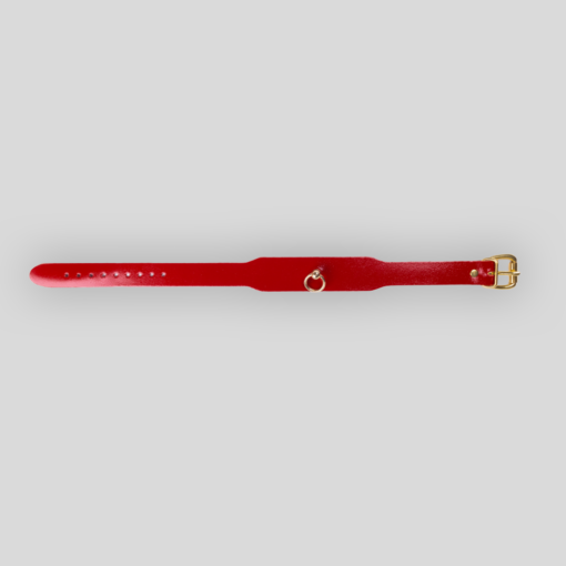 Goldfarbene 20 mm Schnalle am kirschroten Lederchoker mit 3 cm breitem Lederband