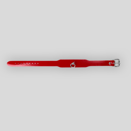 Lederchoker 3,0 Rot Silber mit breitem kirschrotem Lederband und silberfarbenem Metallring